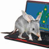 Bilby
